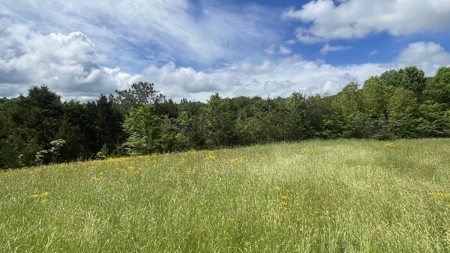 Home and 70 Acres At Auction in 6 Tracts - image 18