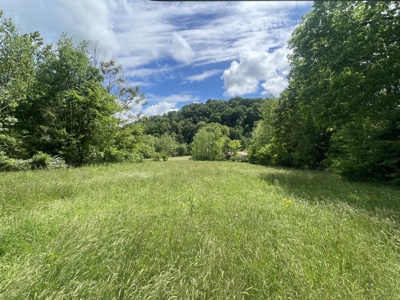 Home and 70 Acres At Auction in 6 Tracts - image 21