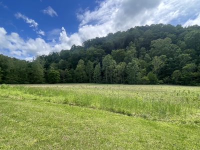 Home and 70 Acres At Auction in 6 Tracts - image 9
