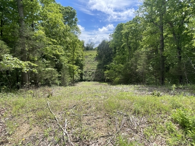 Home and 70 Acres At Auction in 6 Tracts - image 39