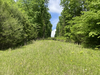 Home and 70 Acres At Auction in 6 Tracts - image 34