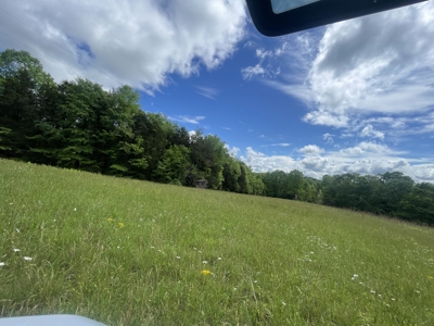 Home and 70 Acres At Auction in 6 Tracts - image 37