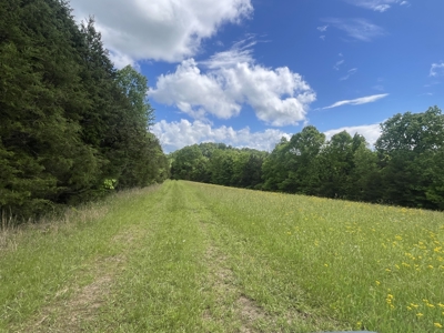 Home and 70 Acres At Auction in 6 Tracts - image 41