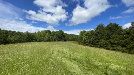Home and 70 Acres At Auction in 6 Tracts - image 16