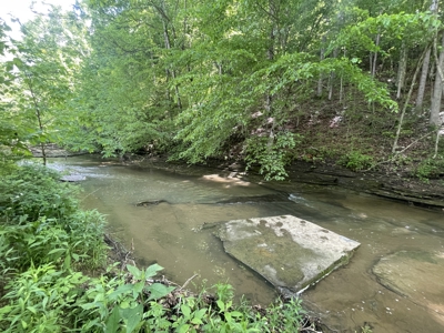 Home and 70 Acres At Auction in 6 Tracts - image 11