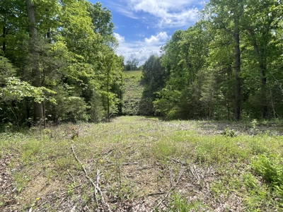 Home and 70 Acres At Auction in 6 Tracts - image 40