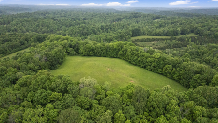 Home and 70 Acres At Auction in 6 Tracts - image 4
