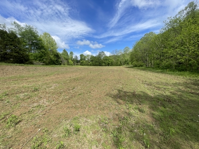Home and 70 Acres At Auction in 6 Tracts - image 24