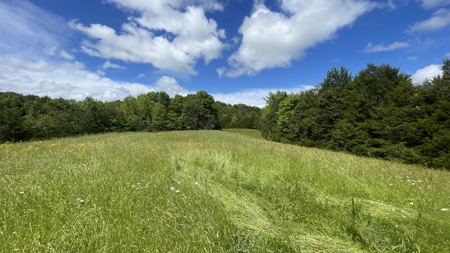 Home and 70 Acres At Auction in 6 Tracts - image 17