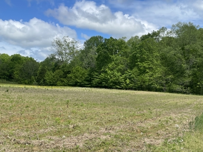 Home and 70 Acres At Auction in 6 Tracts - image 15