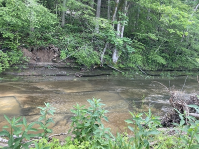 Home and 70 Acres At Auction in 6 Tracts - image 28
