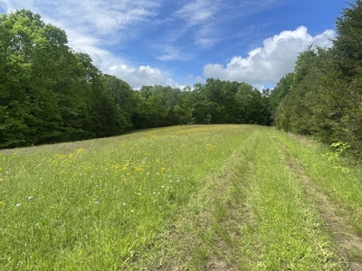 Home and 70 Acres At Auction in 6 Tracts - image 33