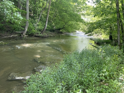 Home and 70 Acres At Auction in 6 Tracts - image 13