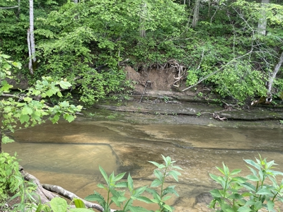 Home and 70 Acres At Auction in 6 Tracts - image 30