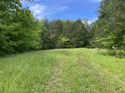 Home and 70 Acres At Auction in 6 Tracts - image 32