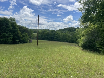 Home and 70 Acres At Auction in 6 Tracts - image 35