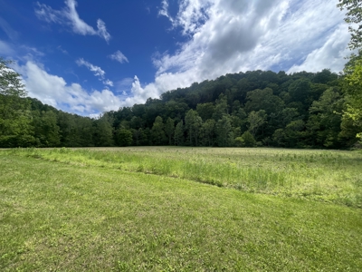 Home and 70 Acres At Auction in 6 Tracts - image 8