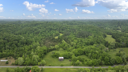 Home and 70 Acres At Auction in 6 Tracts - image 3