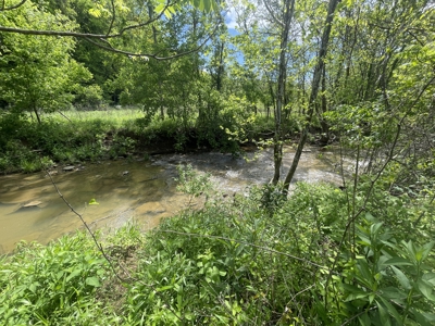 Home and 70 Acres At Auction in 6 Tracts - image 25