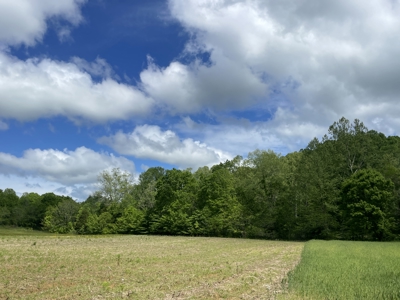 Home and 70 Acres At Auction in 6 Tracts - image 14