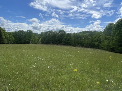 Home and 70 Acres At Auction in 6 Tracts - image 36