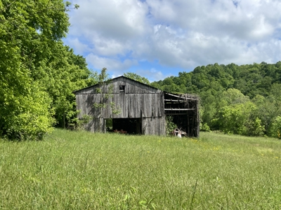 Home and 70 Acres At Auction in 6 Tracts - image 22