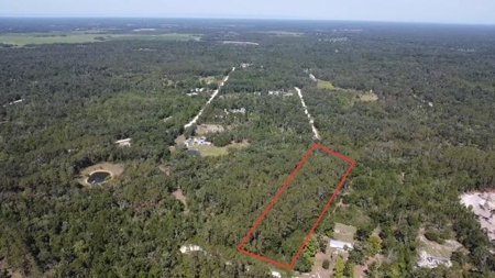 5 Acres Near The Suwannee River With Additional Acreage Available - image 8