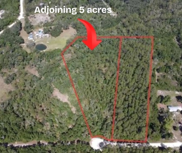 5 Acres Near The Suwannee River With Additional Acreage Available - image 7