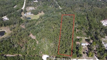 5 Acres Near The Suwannee River With Additional Acreage Available - image 9