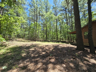 Off-Grid Cabin Adjoining National Forest - image 10