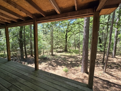 Off-Grid Cabin Adjoining National Forest - image 19
