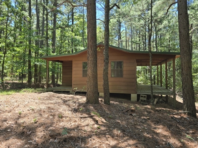 Off-Grid Cabin Adjoining National Forest - image 5