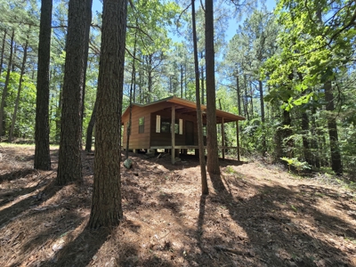 Off-Grid Cabin Adjoining National Forest - image 8