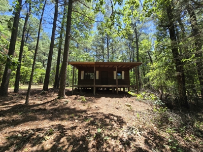 Off-Grid Cabin Adjoining National Forest - image 9