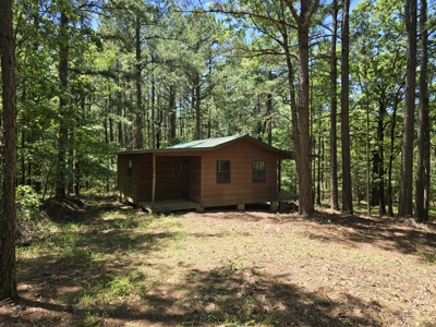 Off-Grid Cabin Adjoining National Forest - image 1