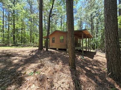 Off-Grid Cabin Adjoining National Forest - image 6