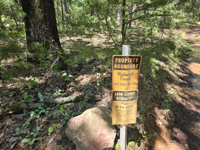 Off-Grid Cabin Adjoining National Forest - image 3