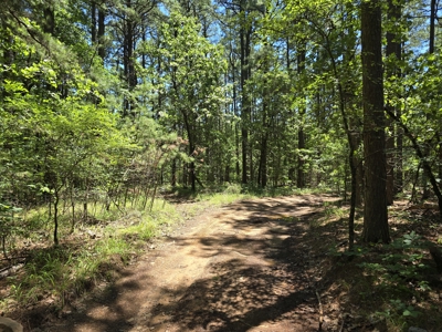 Off-Grid Cabin Adjoining National Forest - image 23