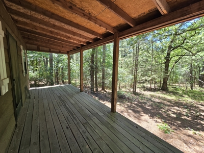 Off-Grid Cabin Adjoining National Forest - image 20