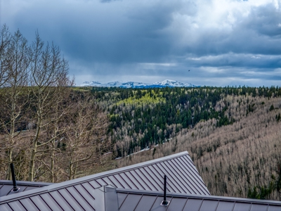 Luxury Custom Log Cabin for Sale in Arrowhead Subdivision - image 19
