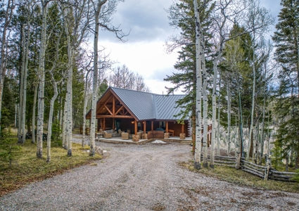 Luxury Custom Log Cabin for Sale in Arrowhead Subdivision - image 5