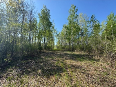 40 Acres of Land w/ Driveway Approach For Sale in Kettle River MN - image 9