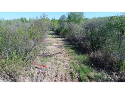40 Acres of Land w/ Driveway Approach For Sale in Kettle River MN - image 12