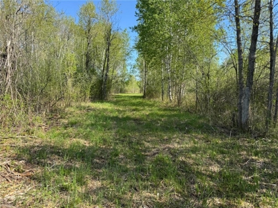 40 Acres of Land w/ Driveway Approach For Sale in Kettle River MN - image 6