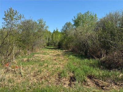 40 Acres of Land w/ Driveway Approach For Sale in Kettle River MN - image 5