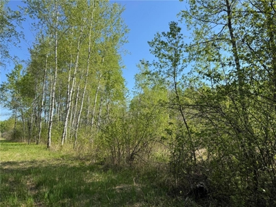 40 Acres of Land w/ Driveway Approach For Sale in Kettle River MN - image 8