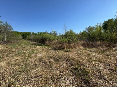 40 Acres of Land w/ Driveway Approach For Sale in Kettle River MN - image 11