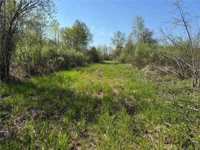 40 Acres of Land w/ Driveway Approach For Sale in Kettle River MN - image 7