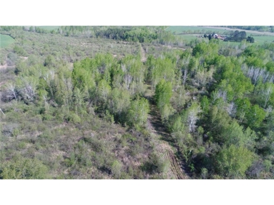 40 Acres of Land w/ Driveway Approach For Sale in Kettle River MN - image 14