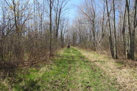 Country Home on 160 Acres of Land For Sale in Willow River MN - image 33